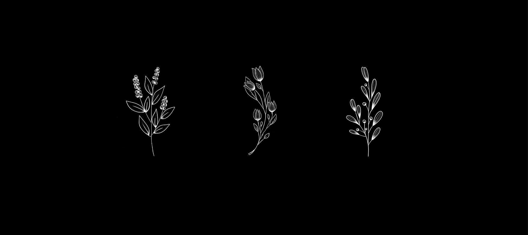cosmetique-identite-visuelle